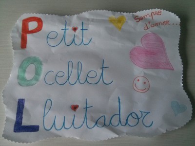 POL: Petit Ocellet Lluitador